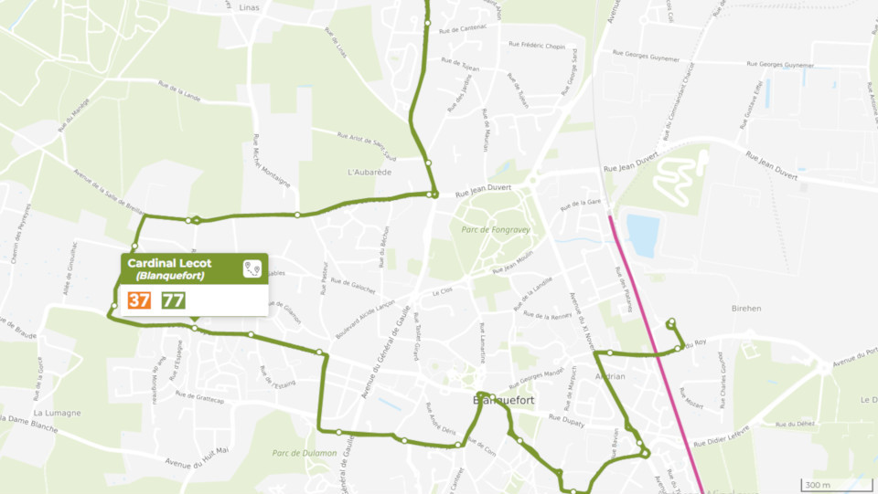 charset=Ascii binary comment